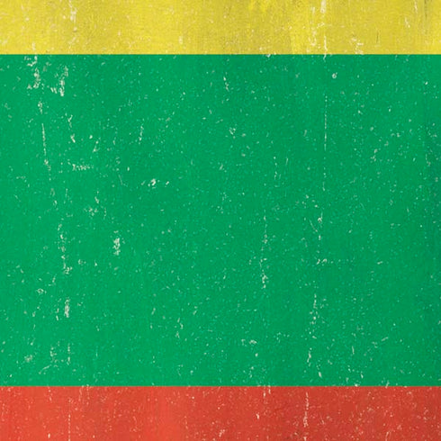 Lithuania Flag Distressed iPhone XS Skin